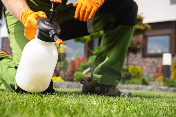 Best Affordable Pest Control Services  in Bulverde, TX