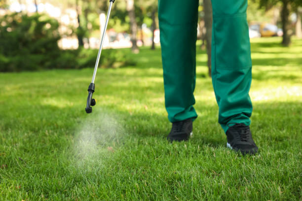Best Bed Bug Extermination  in Bulverde, TX