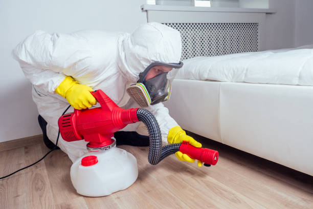 Best Rat Extermination Near Me  in Bulverde, TX