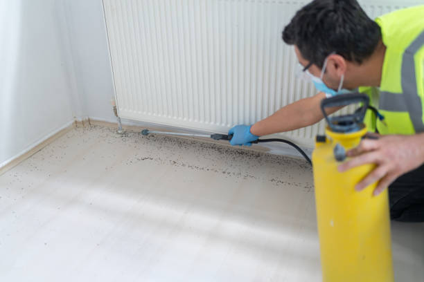 Best Bed Bug Extermination  in Bulverde, TX