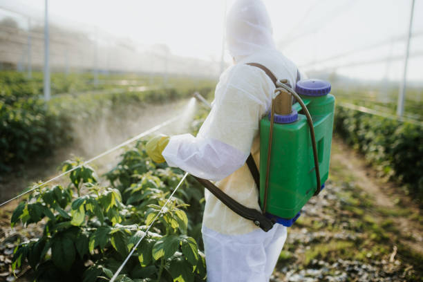 Best Pest Prevention Services  in Bulverde, TX